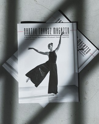MÜPA image 1